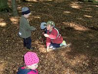 (19 von 243) : KIGA Hausen Waldwoche